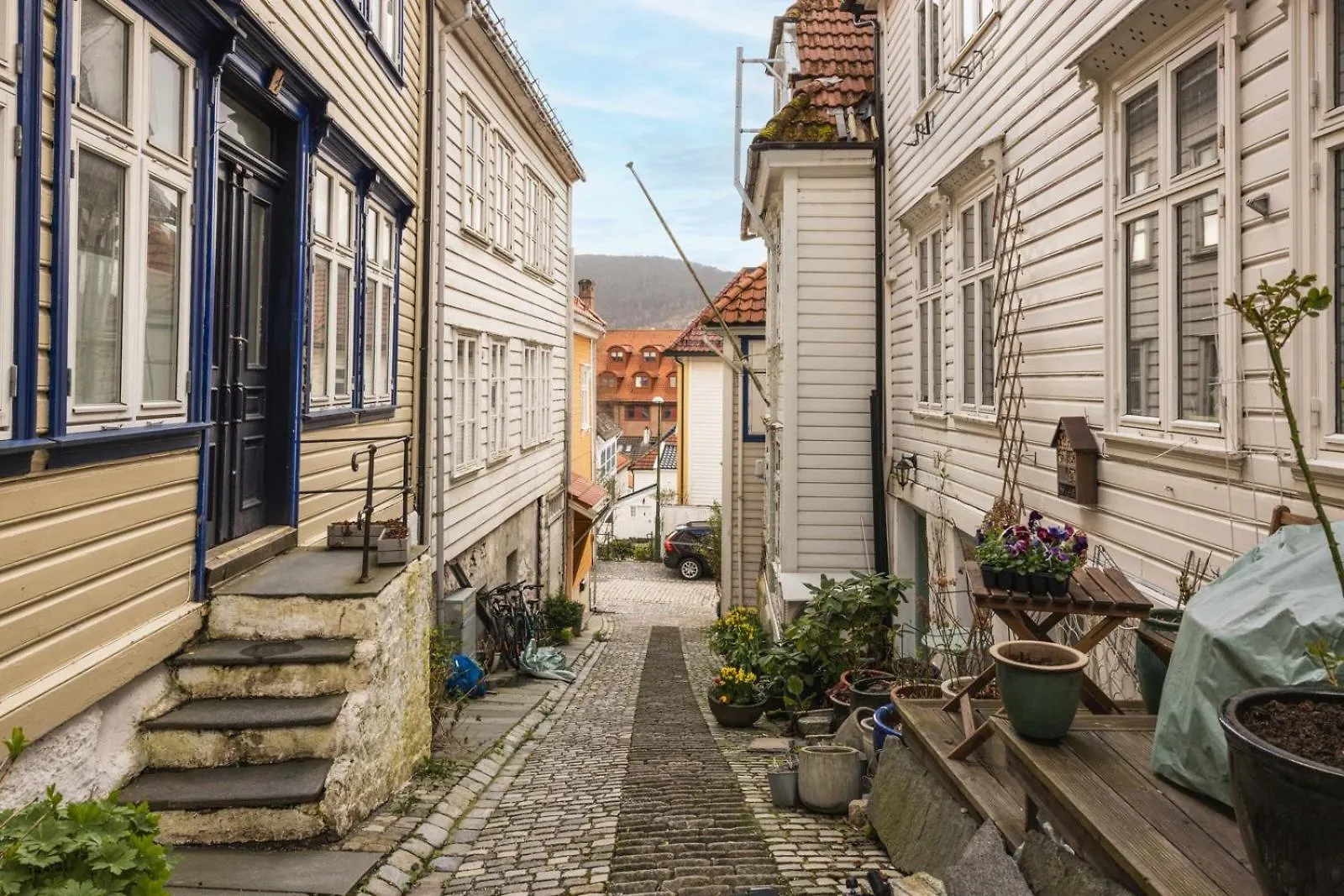 Dinbnb Apartments I Live In A Postcard From 1899 I 500M To Fish Market Bergen